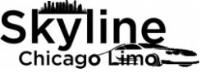 Skyline Chicago Limo image 1